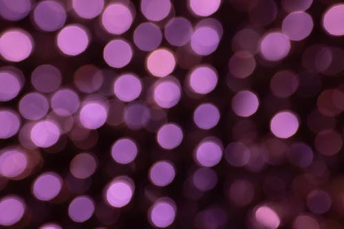 Purple Bokeh Lights in Close Up Photography
