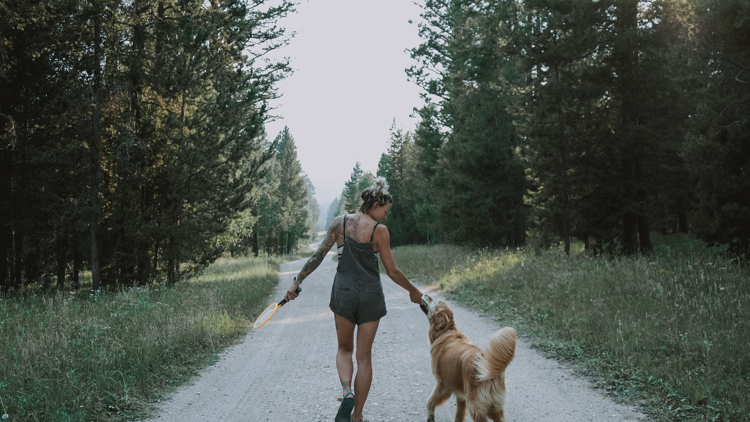 A woman walking a golden retriever on a forest trail during summer in Montana.