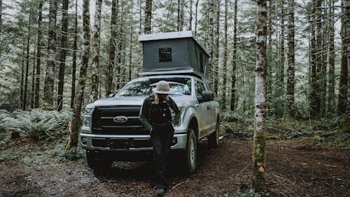 Foto profissional grátis de acampamento, árvores, aventura