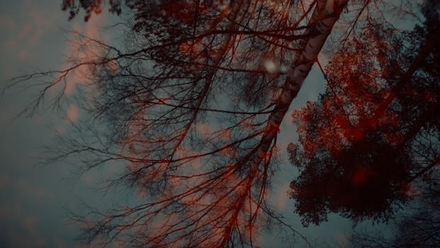 A creative capture of trees reflected in water with a warm, moody tone.