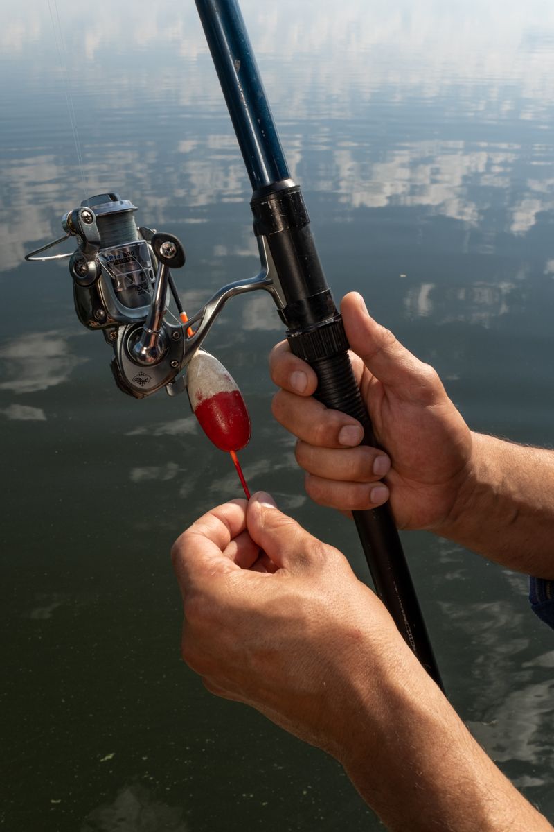 hands holding fishing rod , photo from Pexels