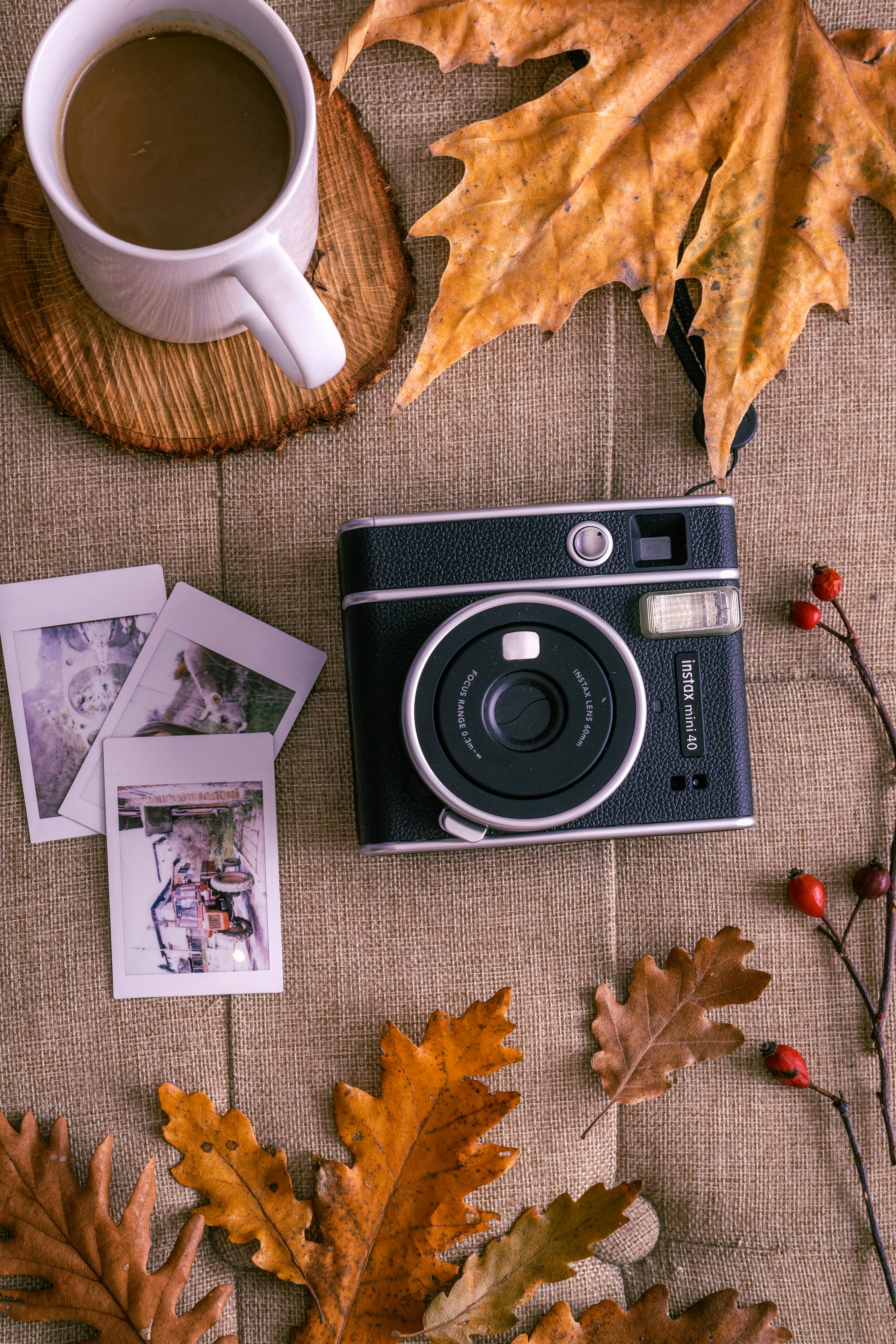 Flat lay of camera, mug, and autumn leaves, capturing the essence of fall photography.