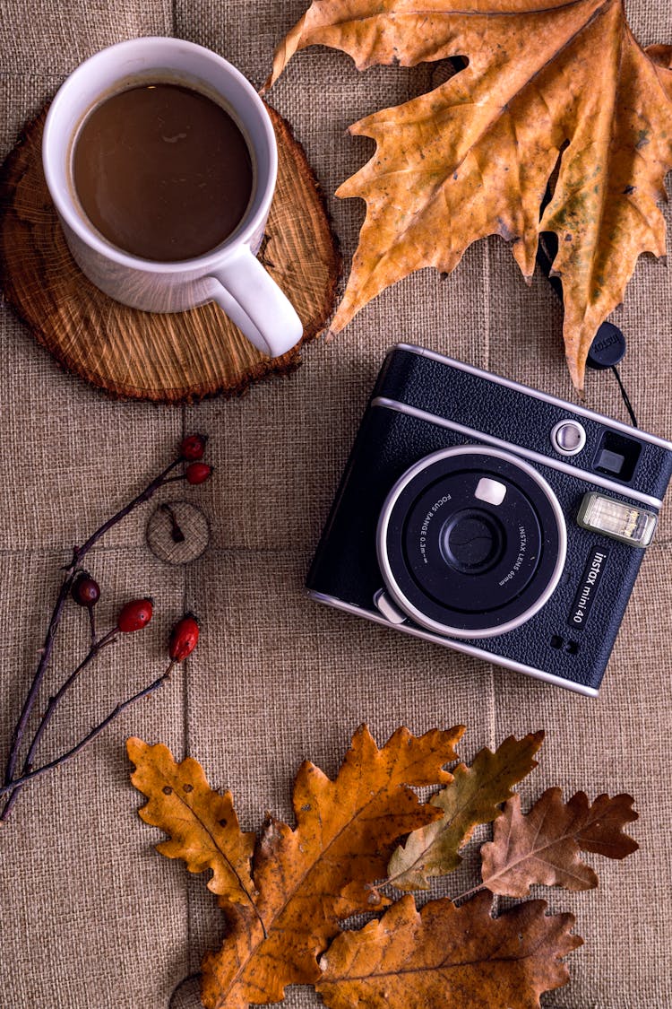 Vintage Camera And Tea In Fall Decoration