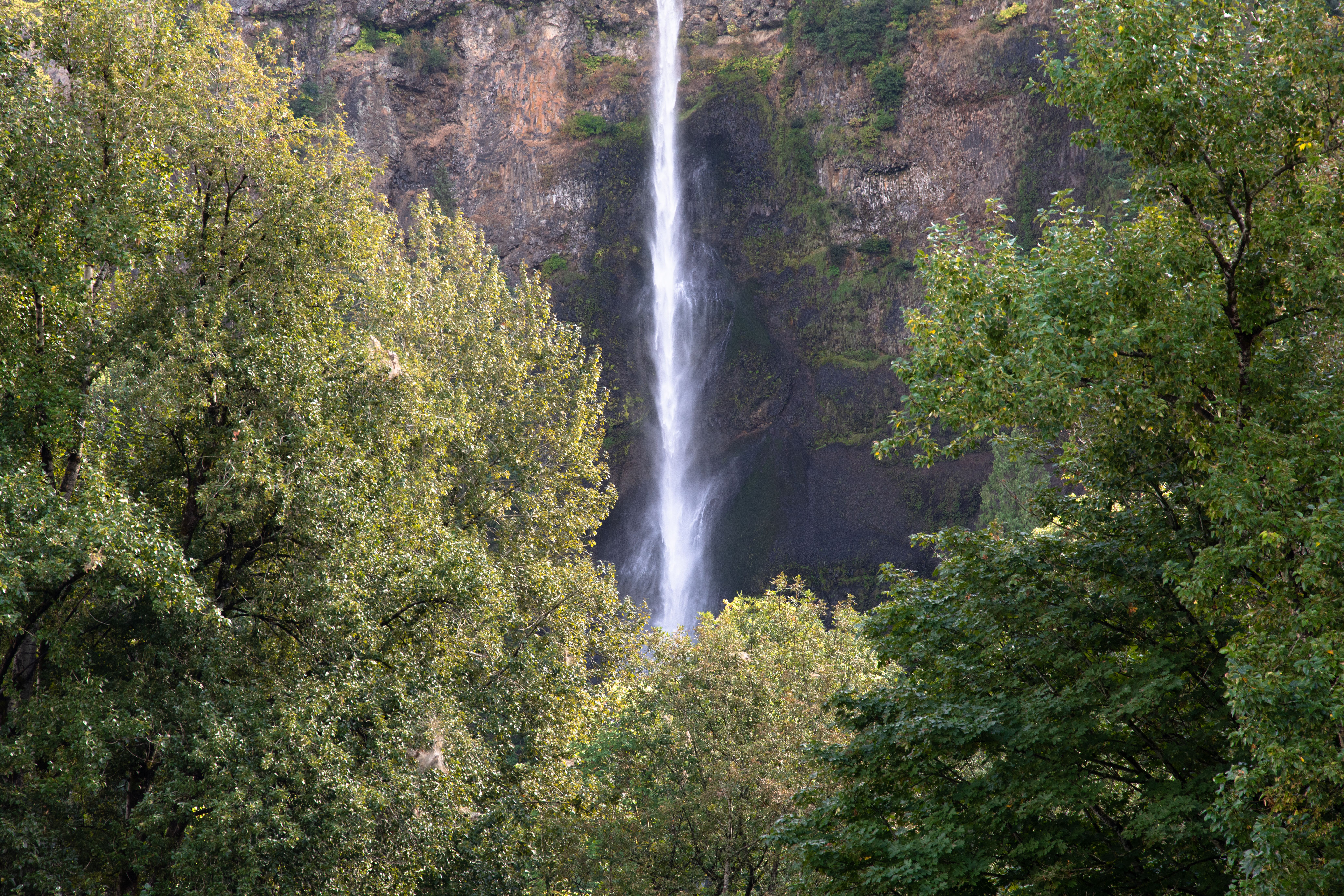A stunning waterfall cascades through verdant forests in Oregon, USA.