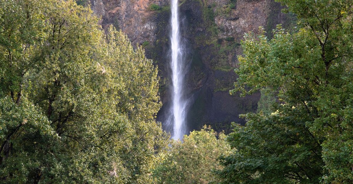 A stunning waterfall cascades through verdant forests in Oregon, USA.