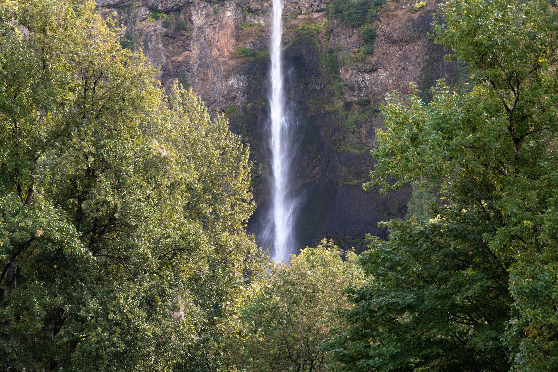From misty woodland trails to crashing cascades in the wild PNW