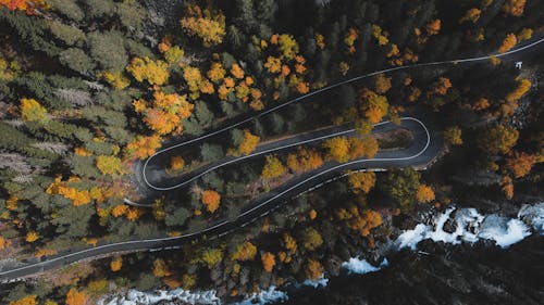 Serpentine Road Running Through Autumnal Forest