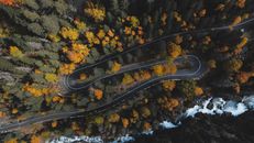 Serpentine Road Running Through Autumnal Forest