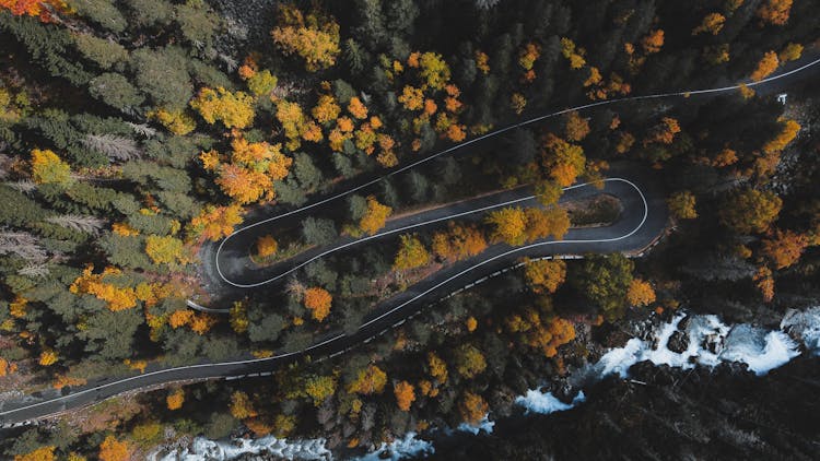 Serpentine Road Running Through Autumnal Forest