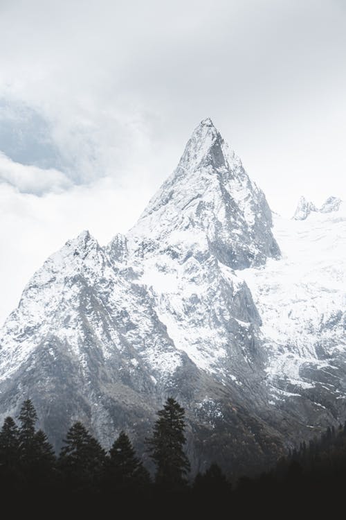 Imagine de stoc gratuită din alpin, cer, codru