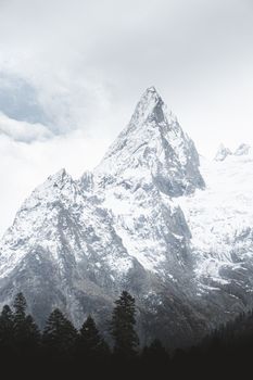 Dramatic snow-covered mountain peak rising through cloudy winter sky with evergreen forest below. 10413294