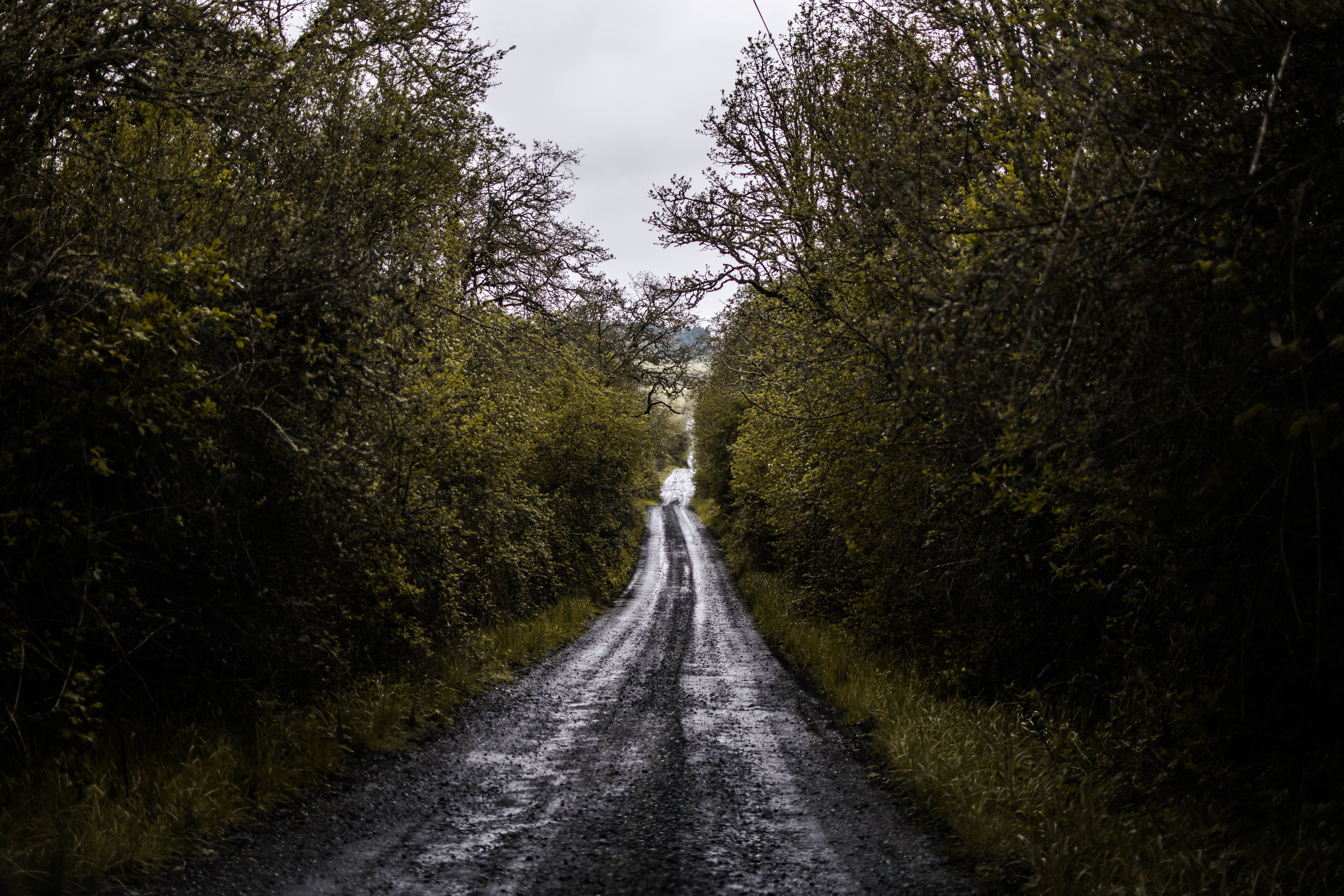 Umpqua National Forest OHV Trail Guide
