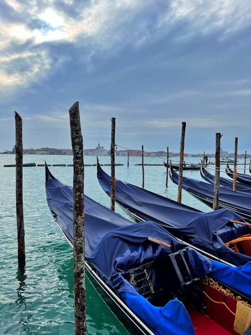 Free stock photo of gondola, italy, venezia Stock Photo