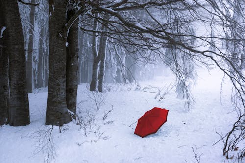 Red Umbrella on Snow Covered Ground