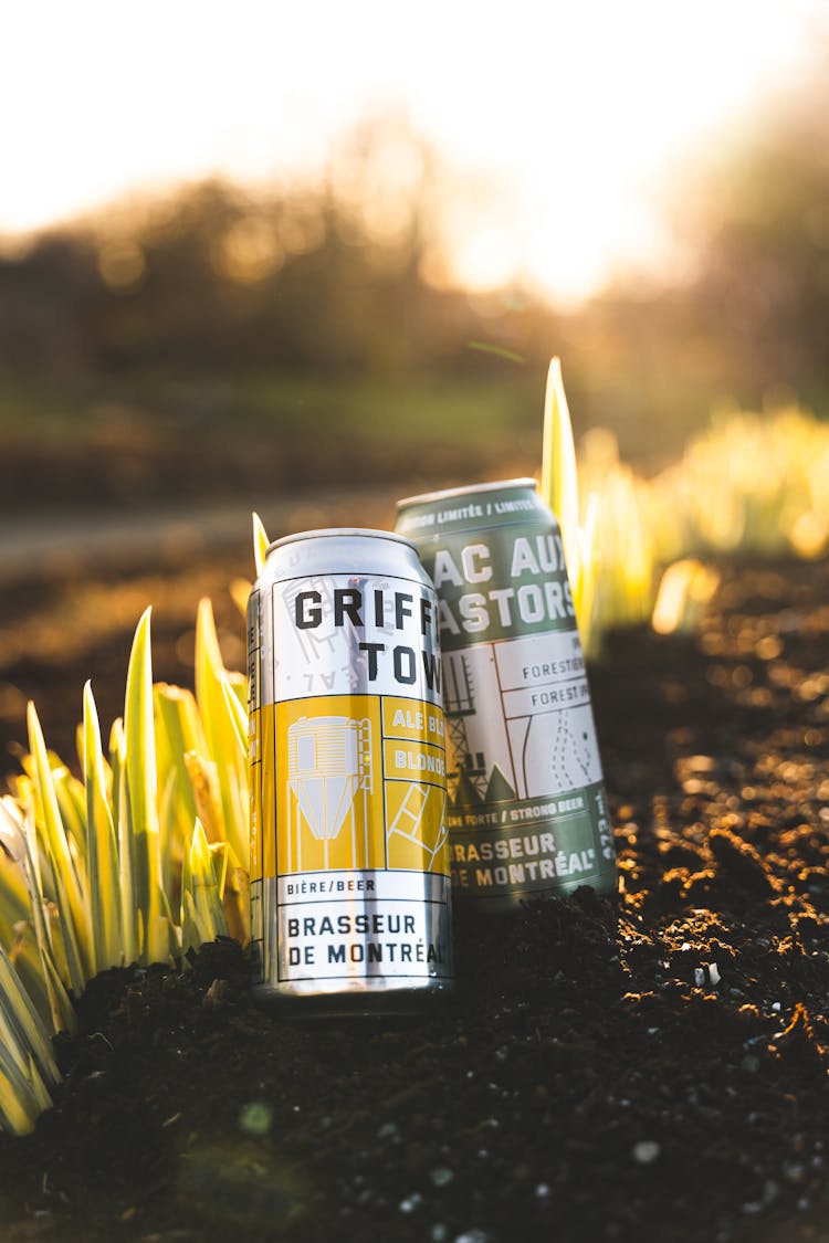 Close Up Of Drinks In Cans