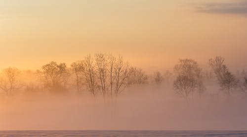 Spot The Difference Between Morning Fog And True Urban Pollution Haze