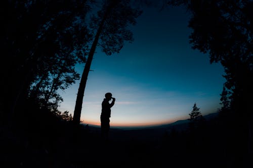 Silhouette of Man Standing on Hill during Night Time