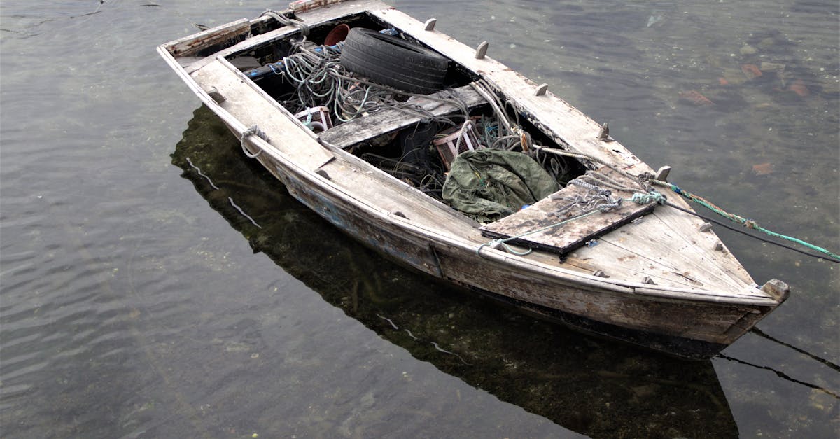 Inside the Lake Fishing Landscape: A 2025 Overview