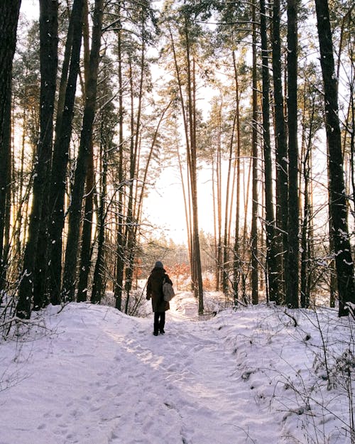 人, 冬, 垂直ショットの無料の写真素材