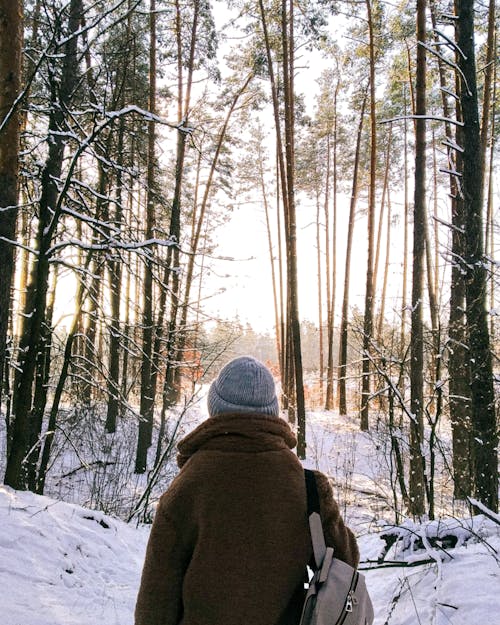 A Person Standing in a Snow Covered Ground in a Forest