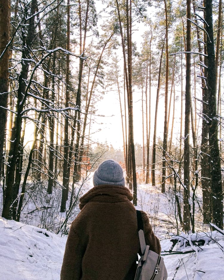 A Person Standing In A Snow Covered Ground In A Forest