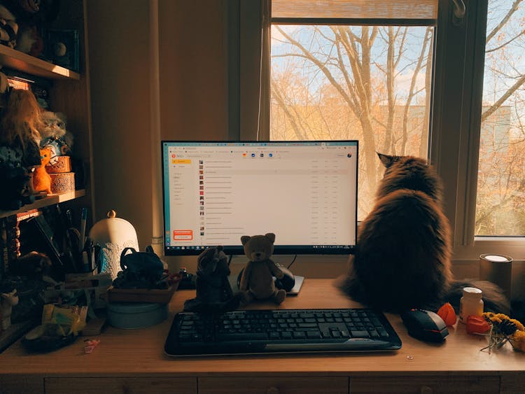 Cat Sitting Beside A Computer