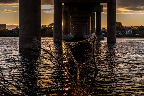 Free stock photo of beautiful sunset, body of water, golden sunset