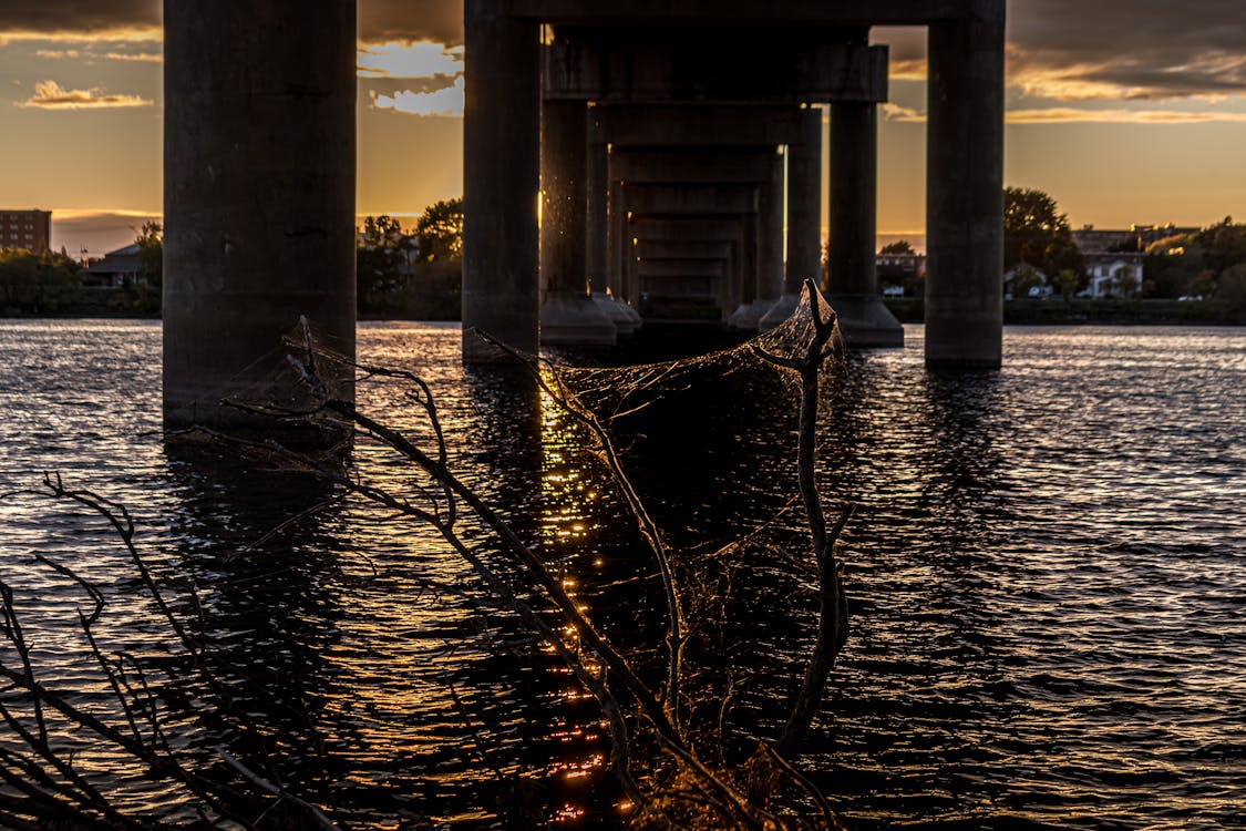 Gratis lagerfoto af anløbsbro, badebro, gylden solnedgang