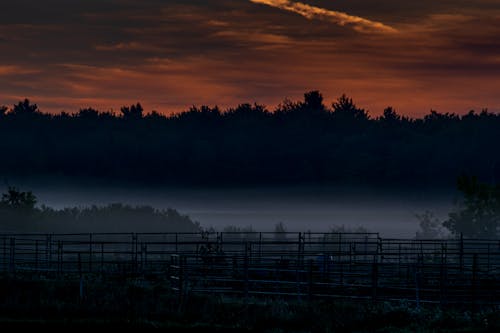 Free stock photo of early morning, early sunrise, fog