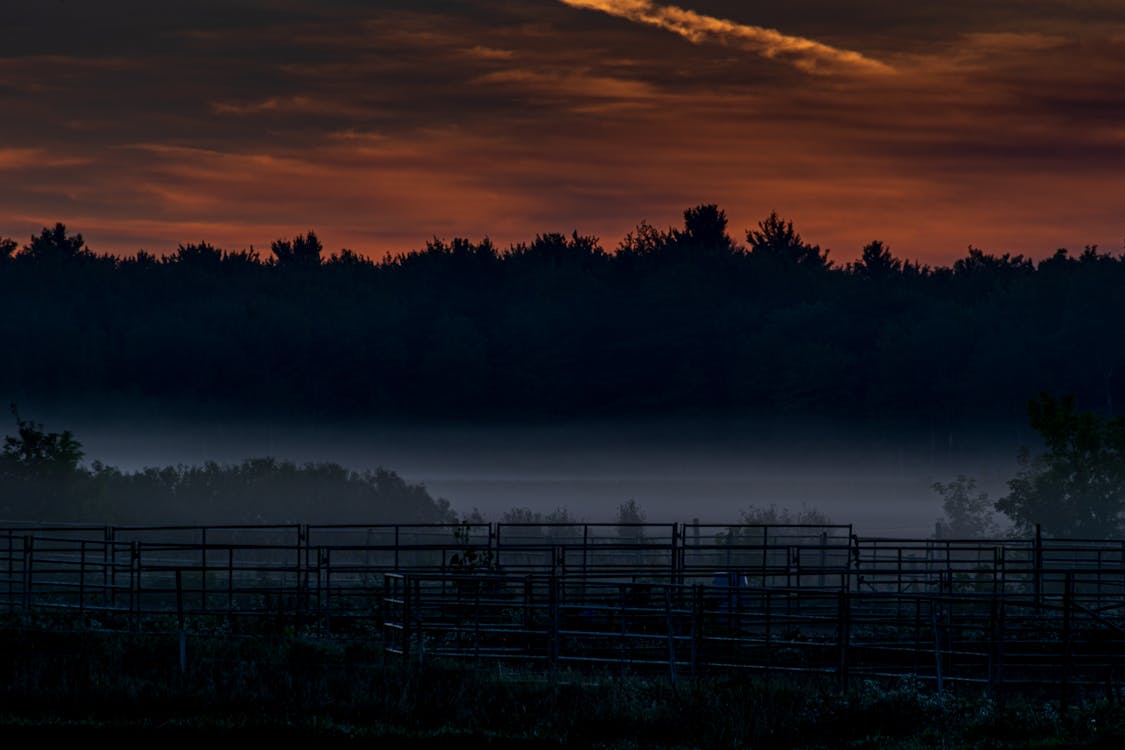 grátis Foto profissional grátis de amanhecer cedo, cores do nascer do sol, de manhã cedo Foto profissional