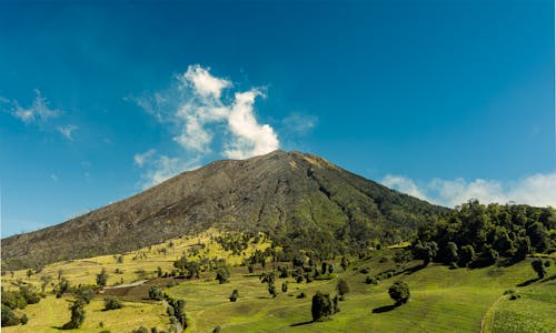 Foto profissional grátis de ao ar livre, árvores, cênico