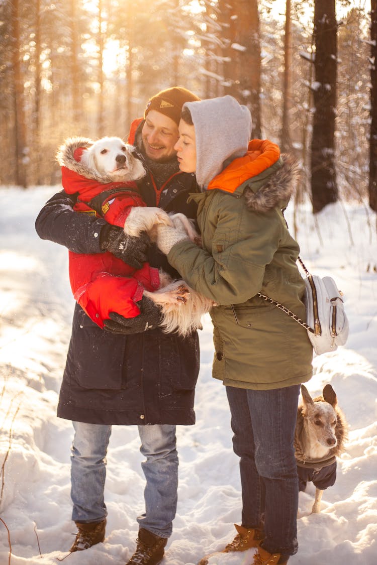 Couple Walking Dressed Up Dogs In Winter Forest Full Of Snow