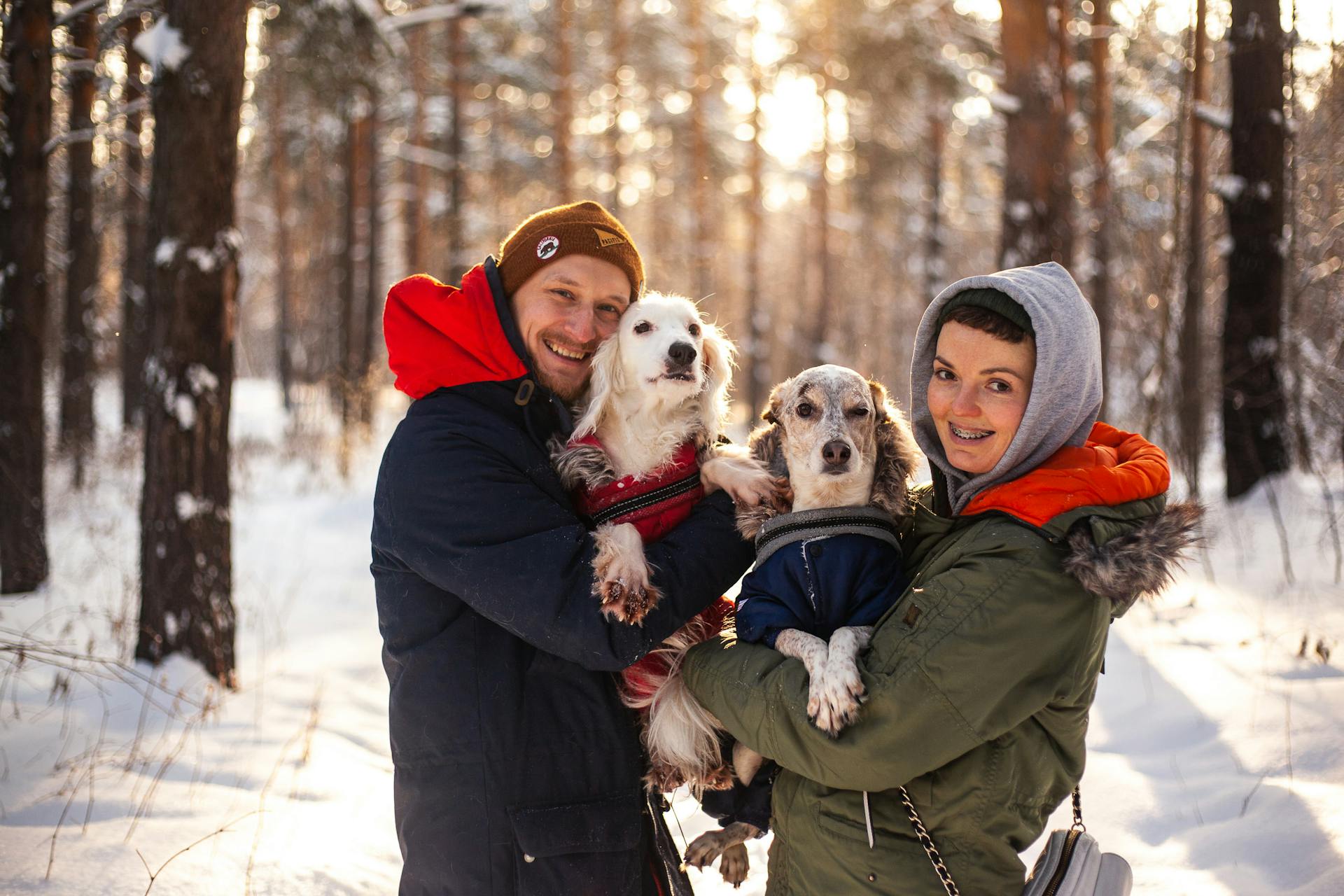 Man and Woman Carrying Dogs