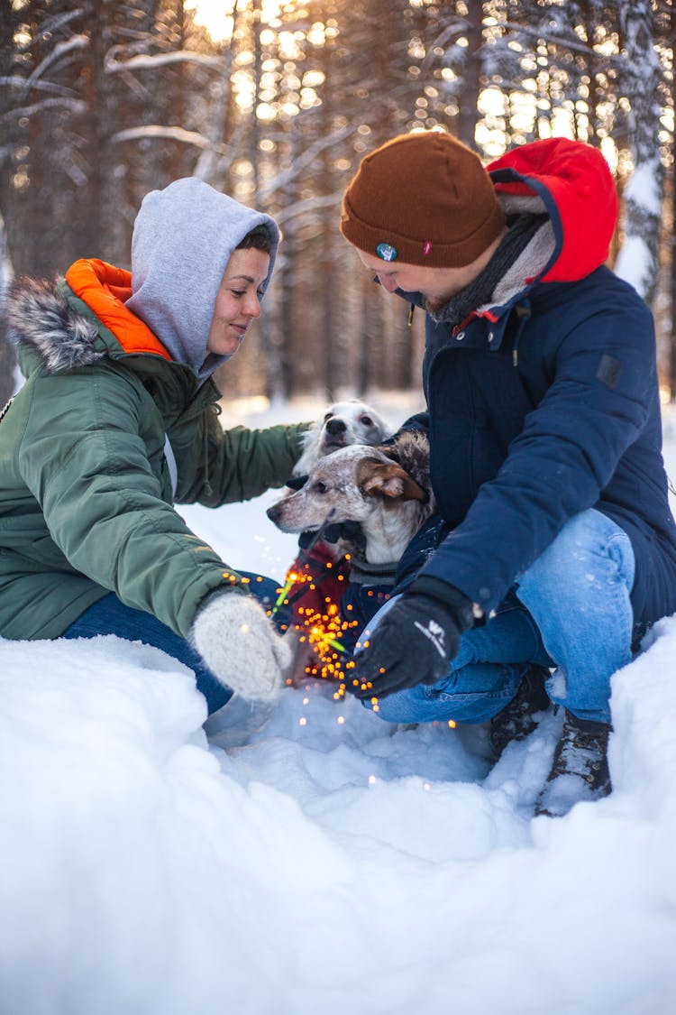 Couple With Dog And Sparklers In Forest In Winter