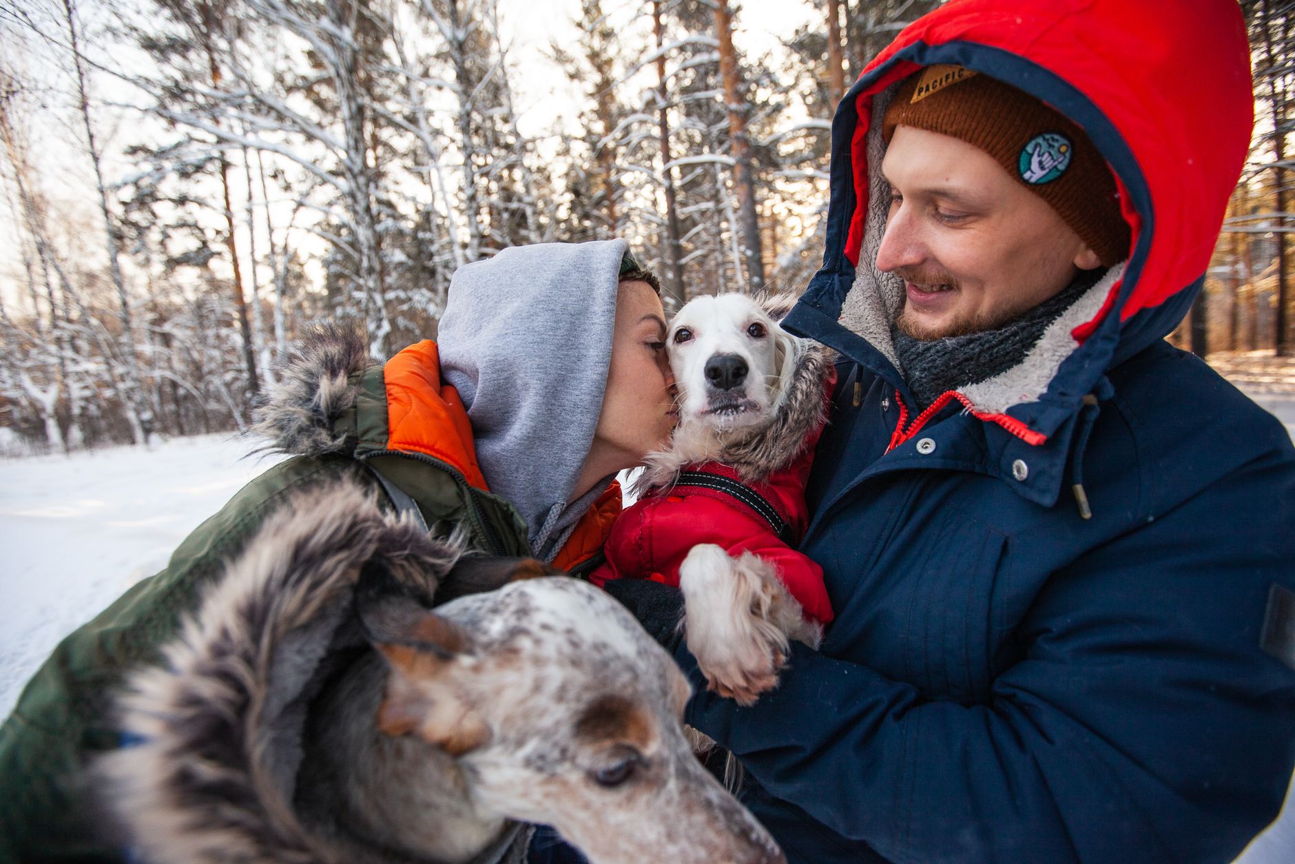 12 Weird Things Dog Owners Do (And Keep Secret)