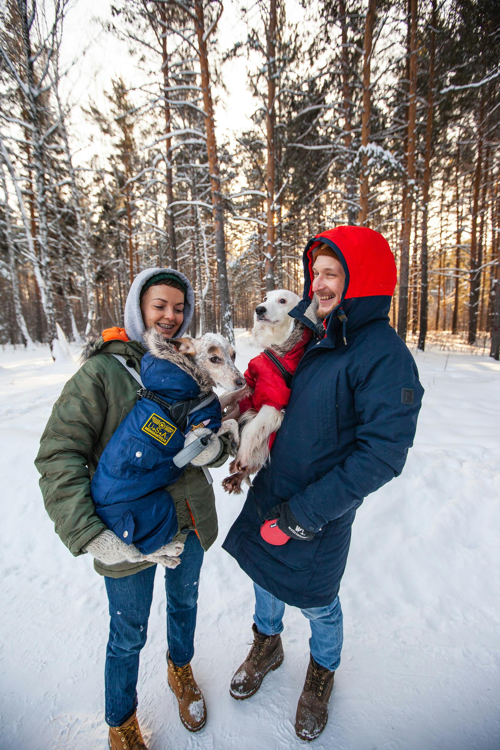 Why Do Dogs Have Wet Noses? Discover The Fascinating Truth! 9 Why Do Dogs Have Cold Noses? The Temperature Connection You Should Understand