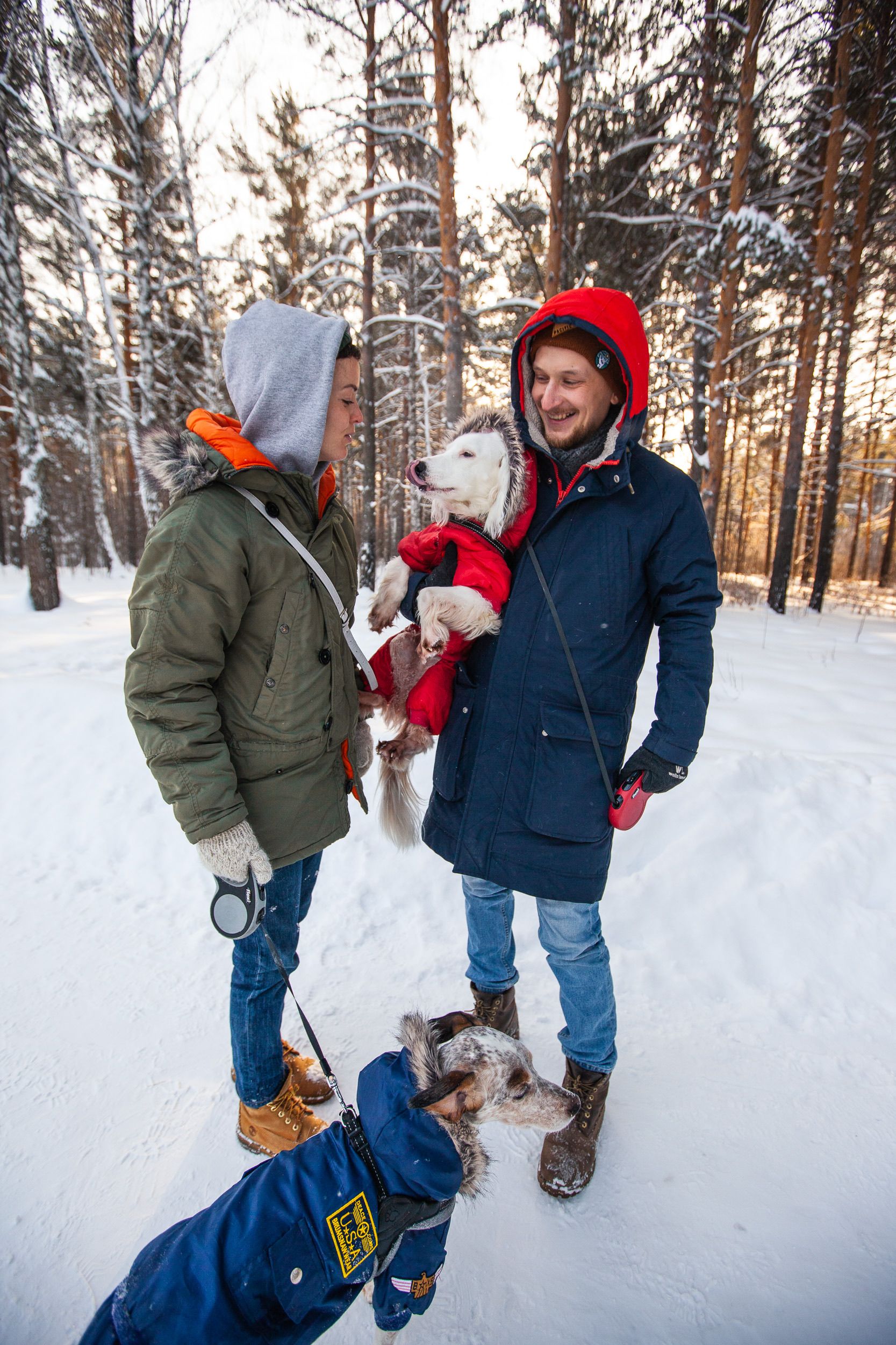 Man and Woman with their Dogs in the Forest · Free Stock Photo