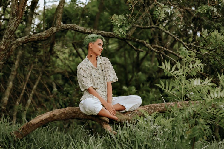 Smiling Woman With Short Green Hair Sitting On Branch Of Big Tree