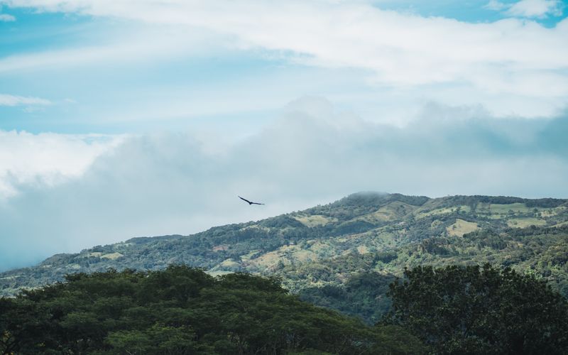 Costa Rica: aventura y eco-romance en Monteverde