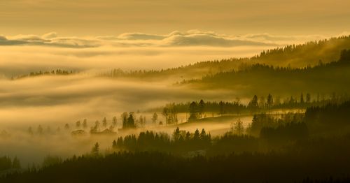 Free stock photo of beautiful view, bird's eye view, birds eye view Stock Photo