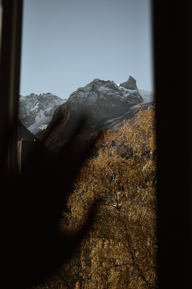 Hand Shadow On Window With Mountain View