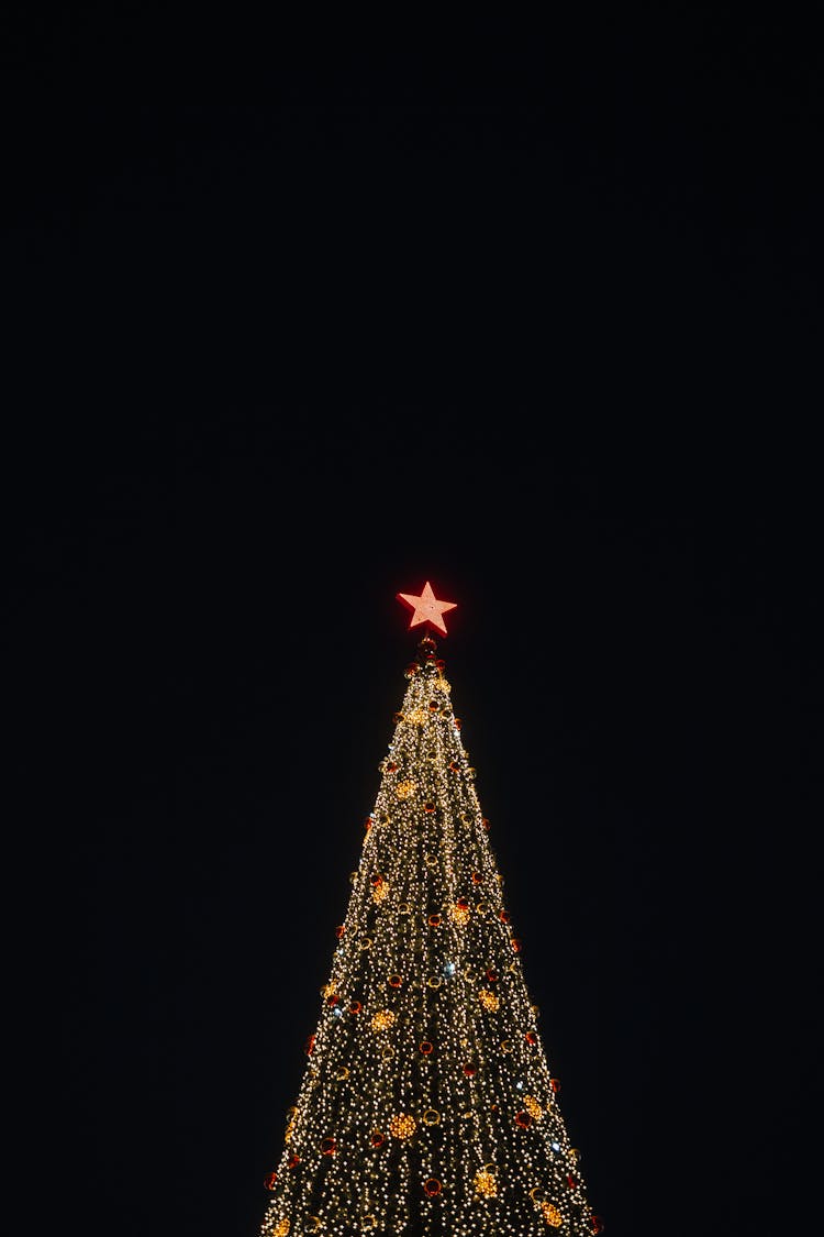 Lighted Christmas Tree With Red And Yellow String Lights