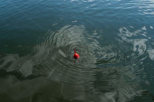 Red Float Making Circles on Water in Lake