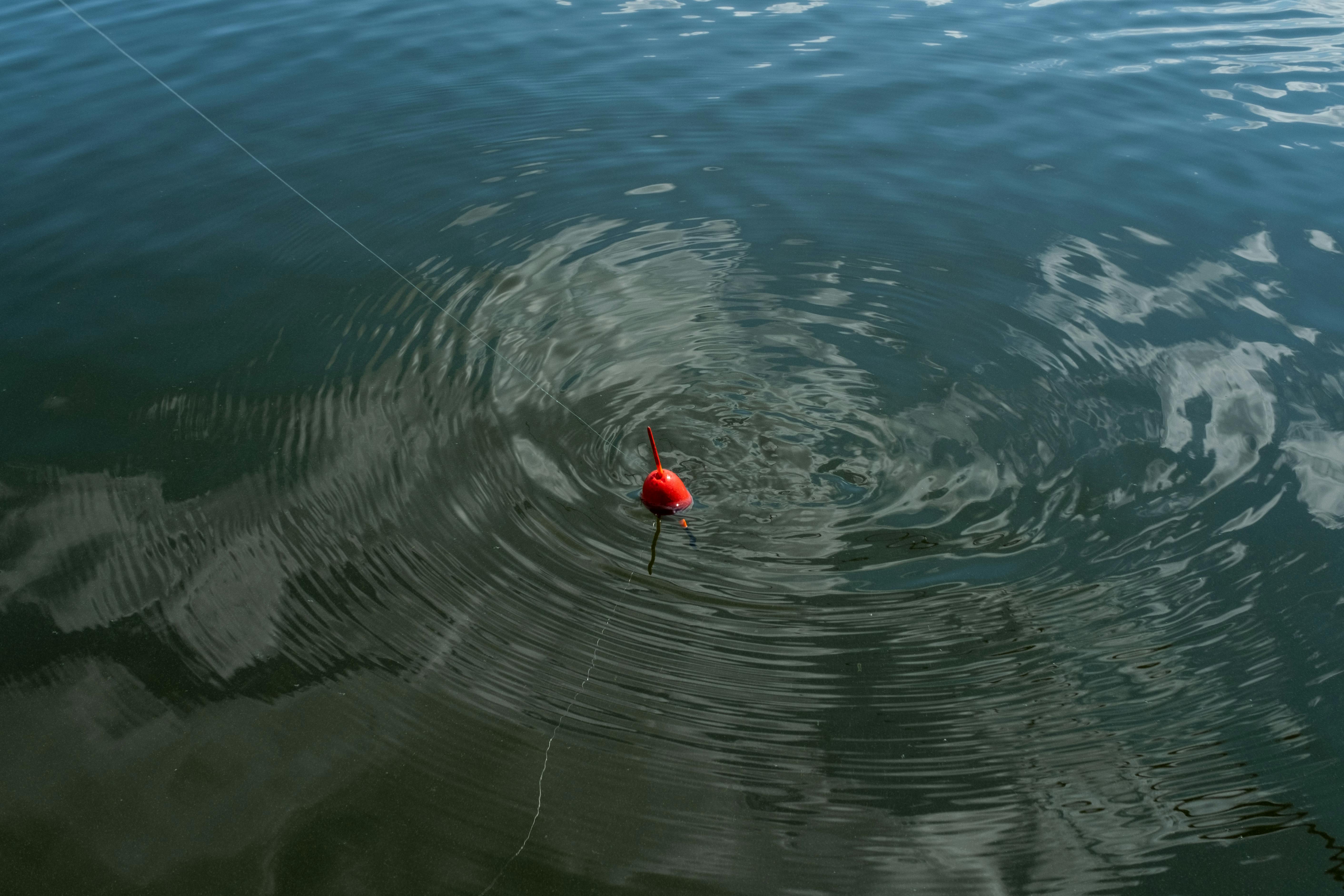 Fishing Floats and Ropes on Water · Free Stock Photo