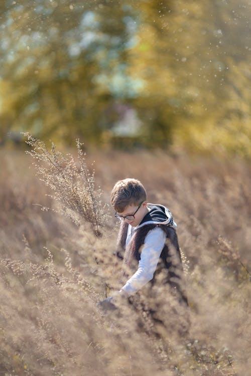 Kostenloses Stock Foto zu draußen, gras, gucken