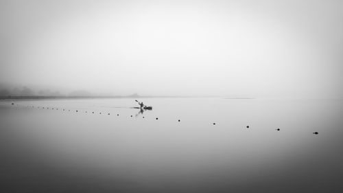 Free A solitary kayaker paddles through fog on a calm ocean in minimalistic monochrome. Stock Photo