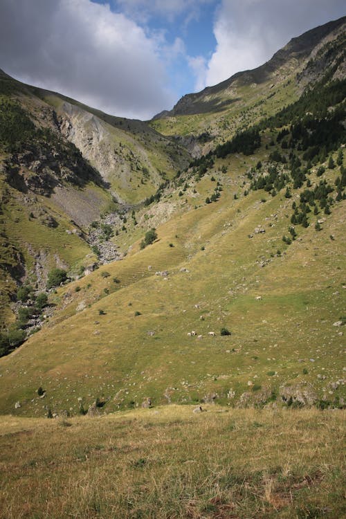 Grass Field below a Mountain