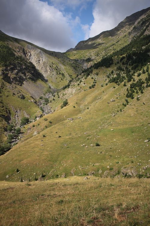 Free Tranquil mountain valley with green slopes and clear sky. Stock Photo