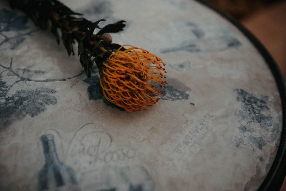 A close-up view of a yellow Protea flower on a vintage artistic table surface.