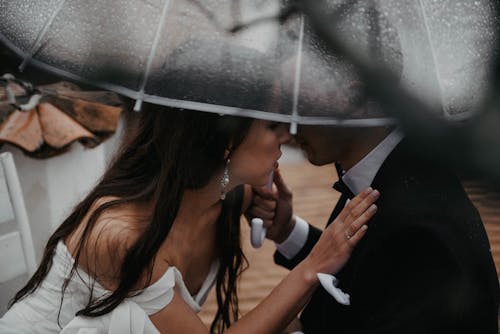 Fotos de stock gratuitas de afecto, amor, beso